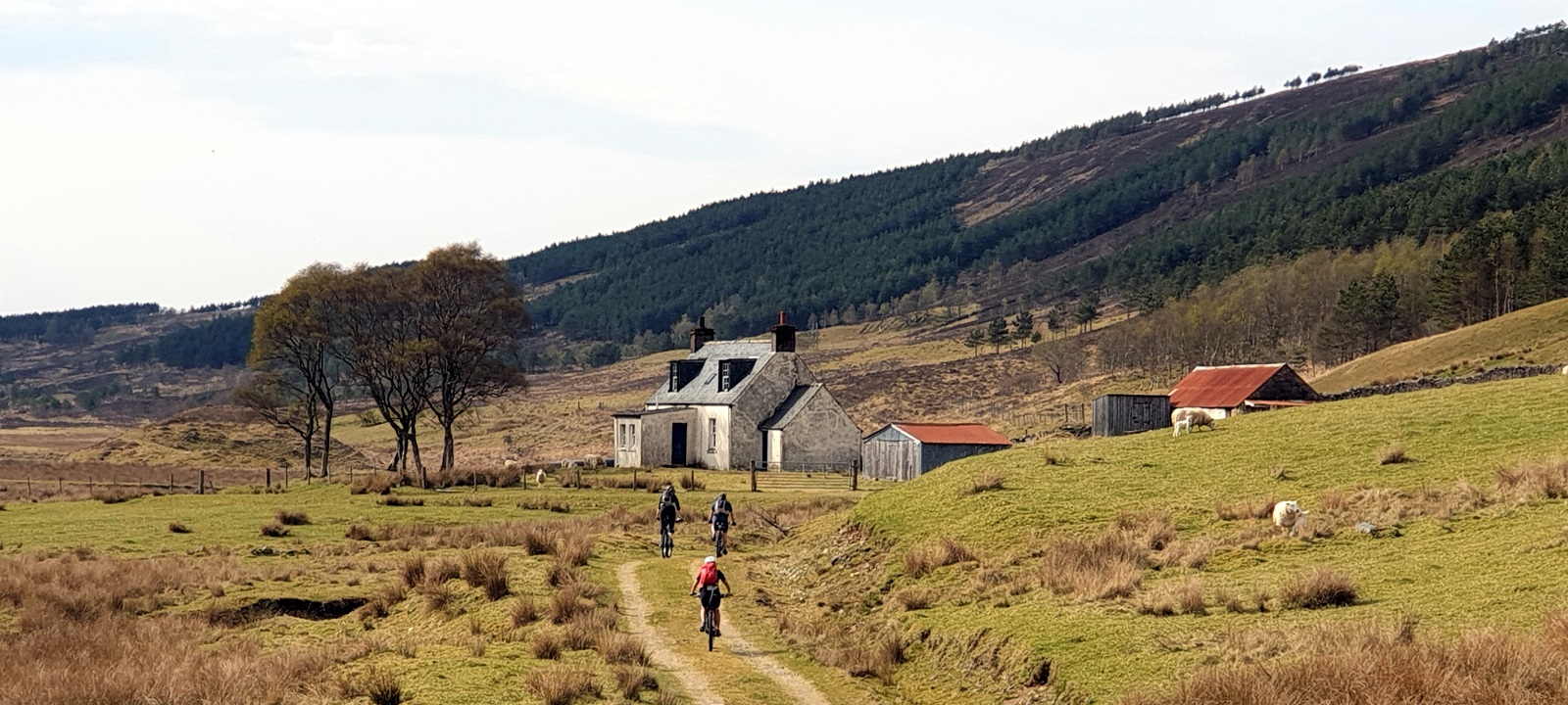 Cycling Tours Scotland - redspokes